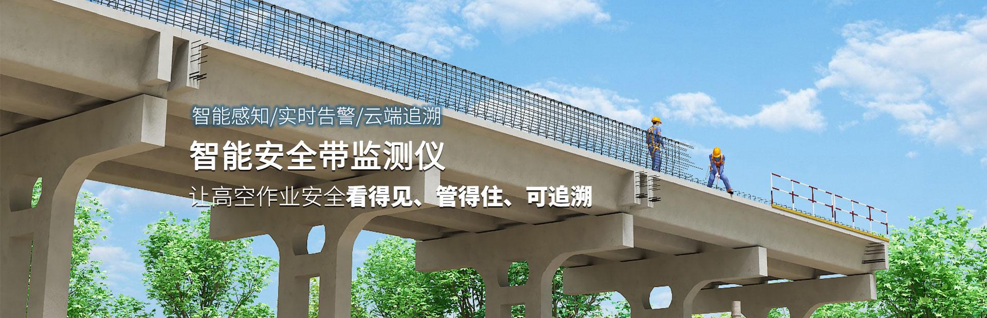 智能安全帶監測儀